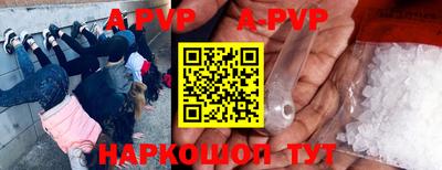 СК Моздок